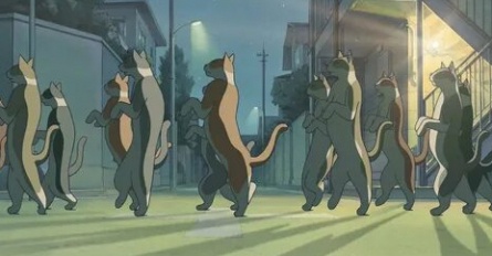 Кот-парад кадры