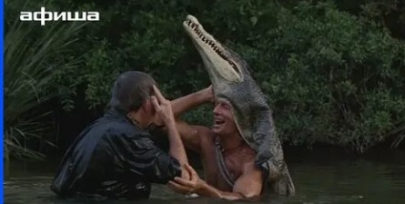 Крокодил и солнце кадры