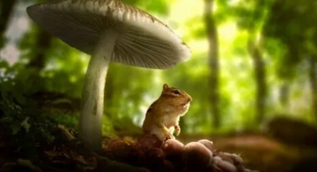 Крошечный мир кадры Крошечный мир кадры
