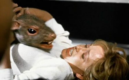 Крыса кадры