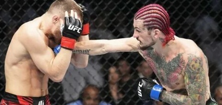 Таинственная супруга бойца UFC Петра Яна: кто скрывается за успехом чемпиона? кадры