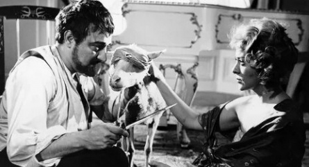 Кутила кадры