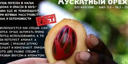Мускатный орех на кухне: опасный наркотик или безобидная специя? Нарколог рассказывает правду кадры Мускатный орех на кухне: опасный наркотик или безобидная специя? Нарколог рассказывает правду кадры
