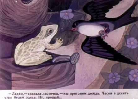 Квакша кадры Квакша кадры
