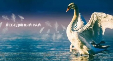Лебединый рай кадры Лебединый рай кадры
