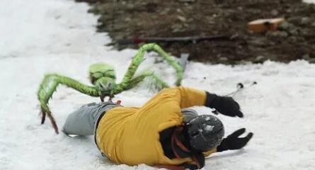 Ледяные пауки кадры