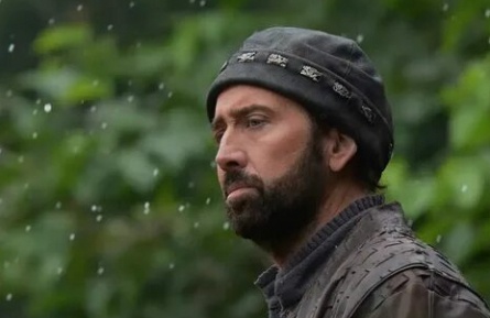 Лепестки кадры