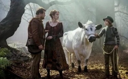 Леса все еще зелены кадры Леса все еще зелены кадры