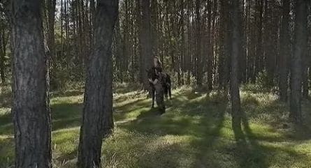 Леший 2 кадры Леший 2 кадры