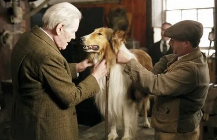 Лэсси кадры