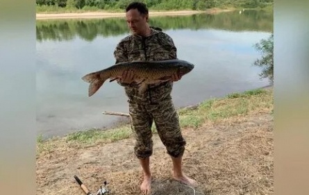 Ловля белого амура в низовьях Дона кадры Ловля белого амура в низовьях Дона кадры