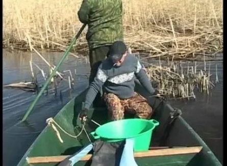 Ловля щуки в дельте Волги кадры Ловля щуки в дельте Волги кадры