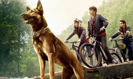 Макс кадры Макс кадры