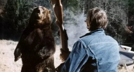 Медведи кадры