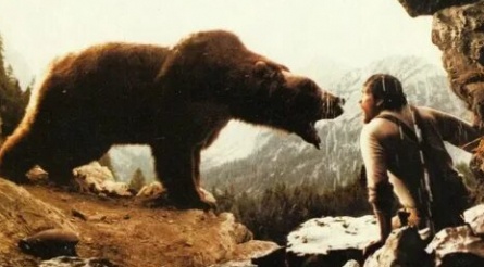 Медведи кадры