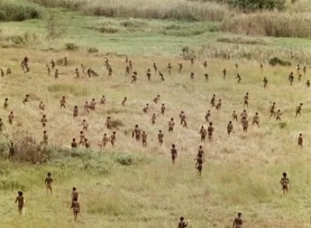 Мертвые птицы кадры