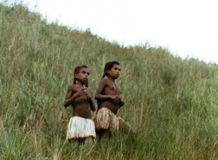 Мертвые птицы кадры