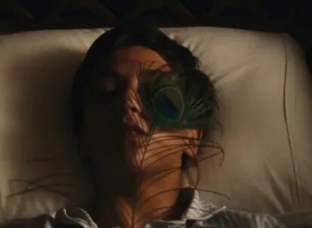 Метаморфоза птиц кадры Метаморфоза птиц кадры