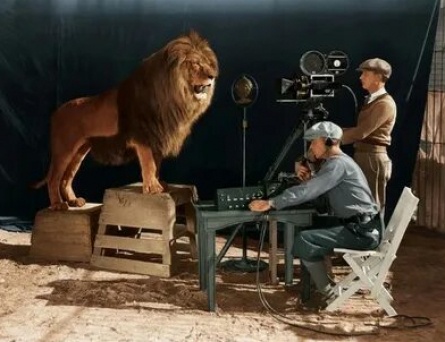 MGM возродилась кадры
