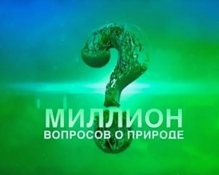 Миллион вопросов о природе кадры