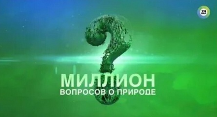 Миллион вопросов о природе кадры