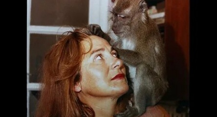 Много детей, обезьяна и замок кадры