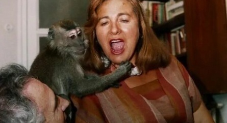 Много детей, обезьяна и замок кадры