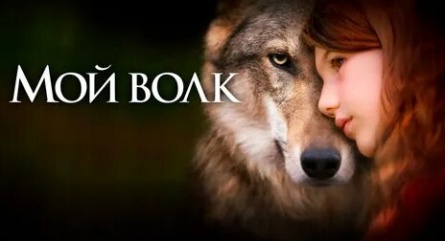Мой волк кадры Мой волк кадры