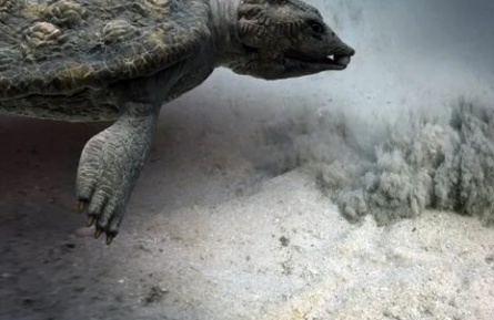 Морские динозавры 3D: Путешествие в доисторический мир кадры