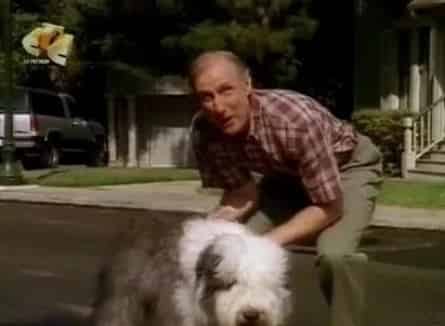 Мохнатый пёс кадры