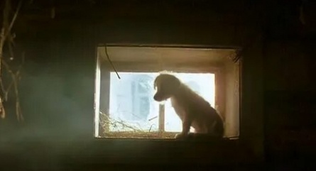 Му-Му кадры Му-Му кадры