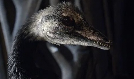 Музей естественной истории с Дэвидом Аттенборо кадры