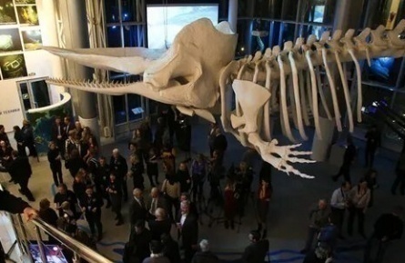 Музей Мирового Океана кадры