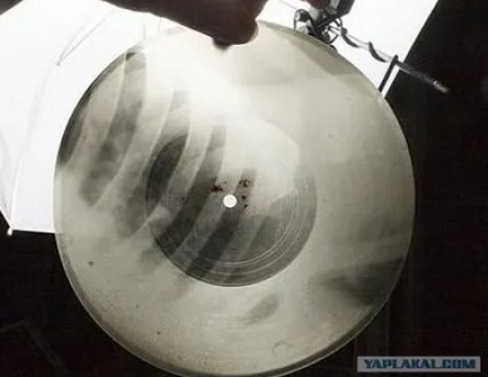 Музыка на ребрах кадры