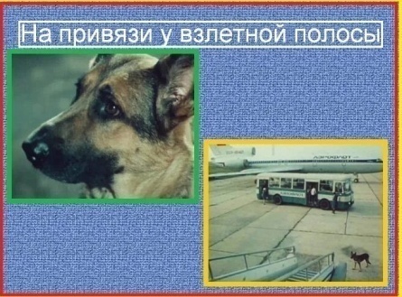 На привязи у взлетной полосы кадры На привязи у взлетной полосы кадры