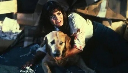 Наблюдатели - 2 кадры