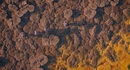 Неизвестная планета Земля кадры Неизвестная планета Земля кадры