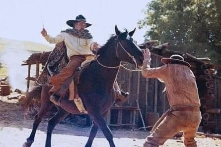 Невеста Занди кадры Невеста Занди кадры