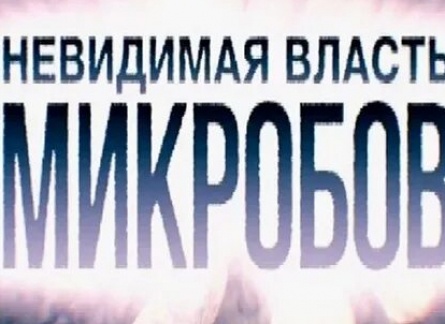Невидимая власть микробов кадры Невидимая власть микробов кадры