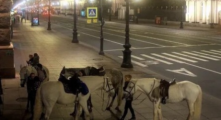 Невский проспект кадры
