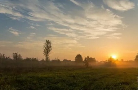 Ни свет, ни заря кадры Ни свет, ни заря кадры
