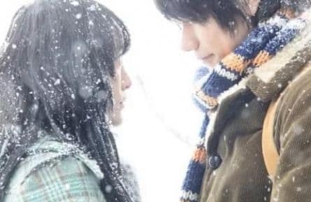 Норвежский лес кадры