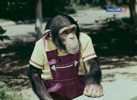 Новые приключения Дони и Микки кадры