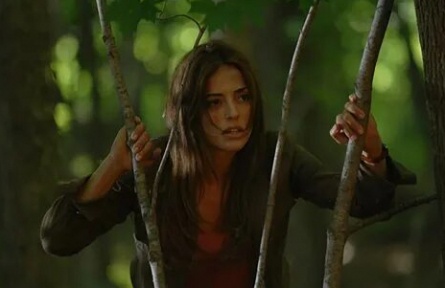 Обратная сторона карт кадры