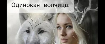 Одинокая волчица кадры Одинокая волчица кадры