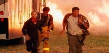 Огнедышащие осы кадры