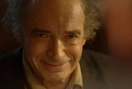 Осенние цветы кадры