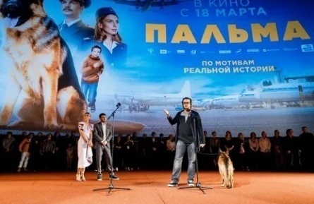 Пальма кадры