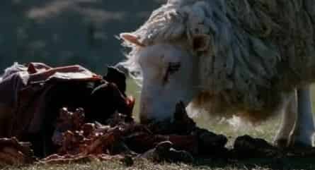 Паршивая овца кадры