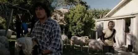 Паршивая овца кадры